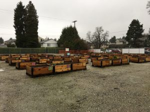 Halla Bertrand: Tax Breaks, The Story of Temporary Community Gardens in Vancouver