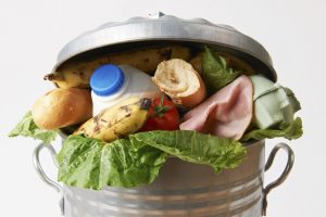 Parisa Roofigari: Food Waste